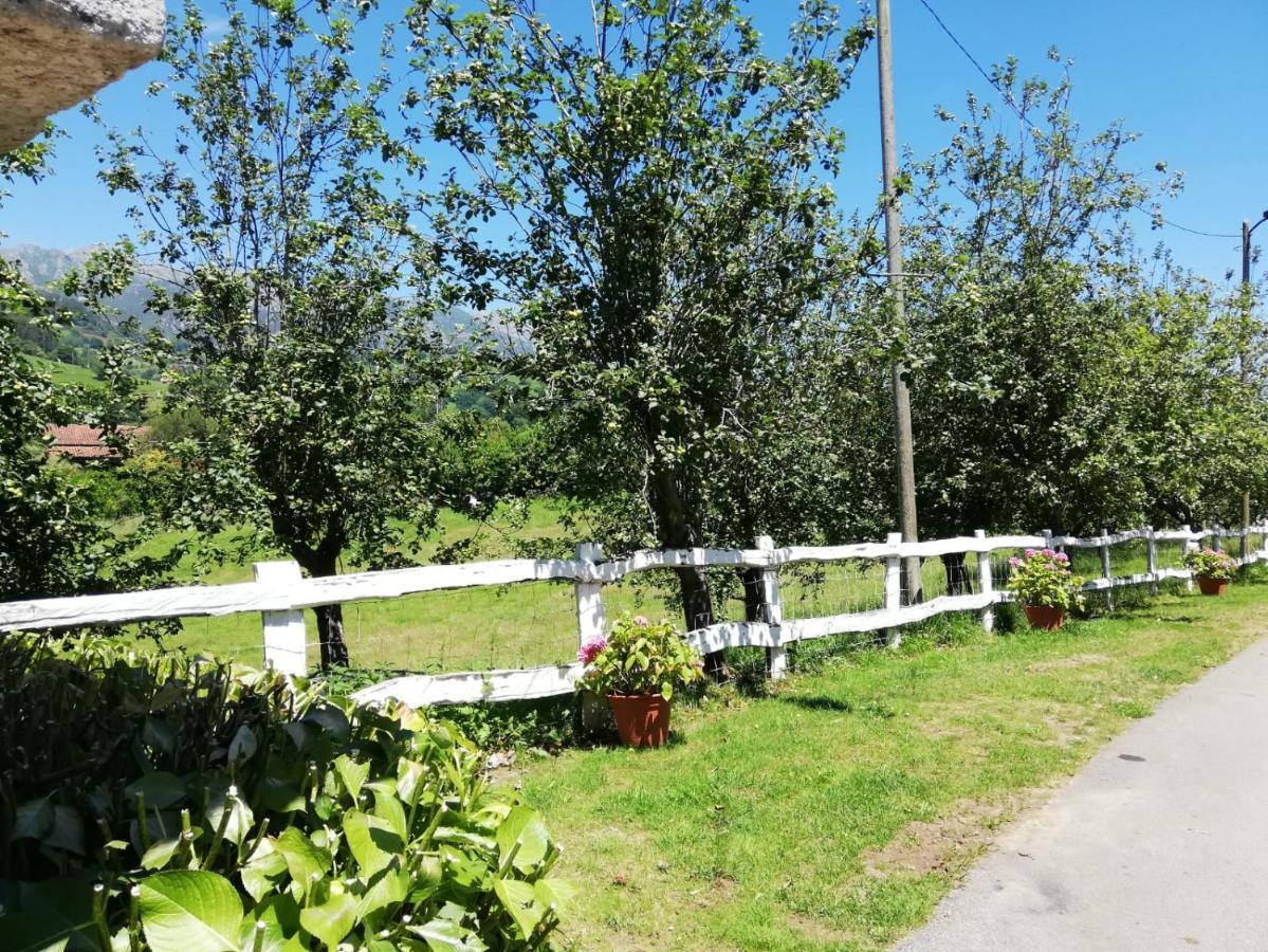 La Casa Nueva Alojamiento Rural Cereceda  外观 照片