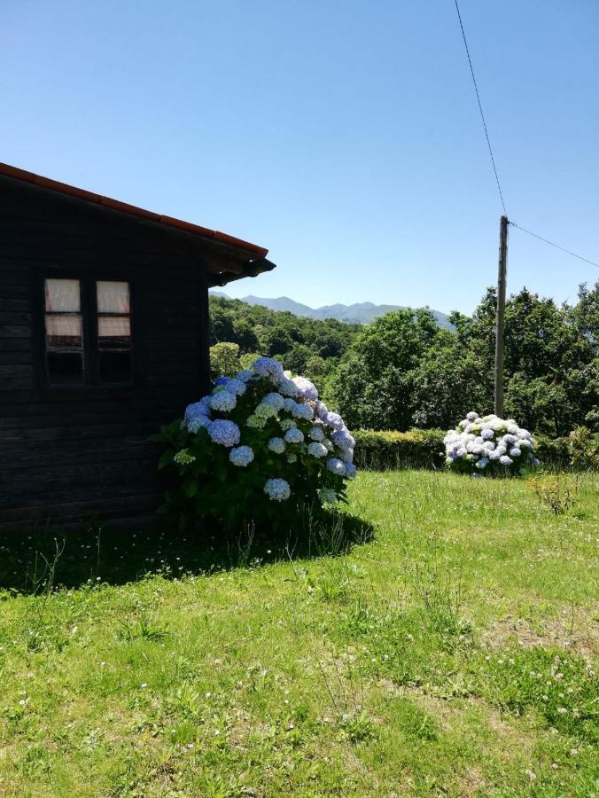 La Casa Nueva Alojamiento Rural Cereceda  外观 照片