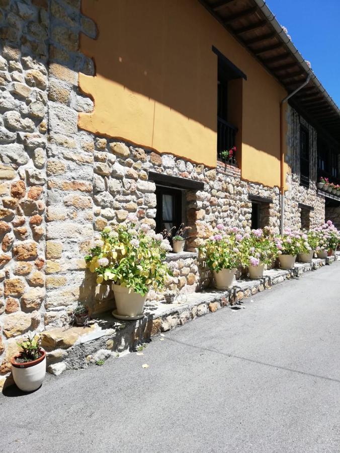 La Casa Nueva Alojamiento Rural Cereceda  外观 照片