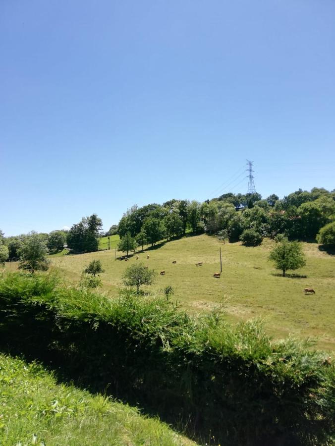 La Casa Nueva Alojamiento Rural Cereceda  外观 照片