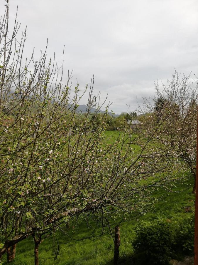 La Casa Nueva Alojamiento Rural Cereceda  外观 照片