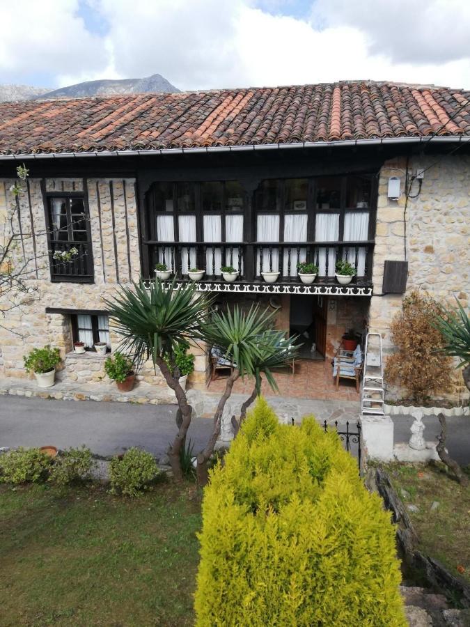 La Casa Nueva Alojamiento Rural Cereceda  外观 照片