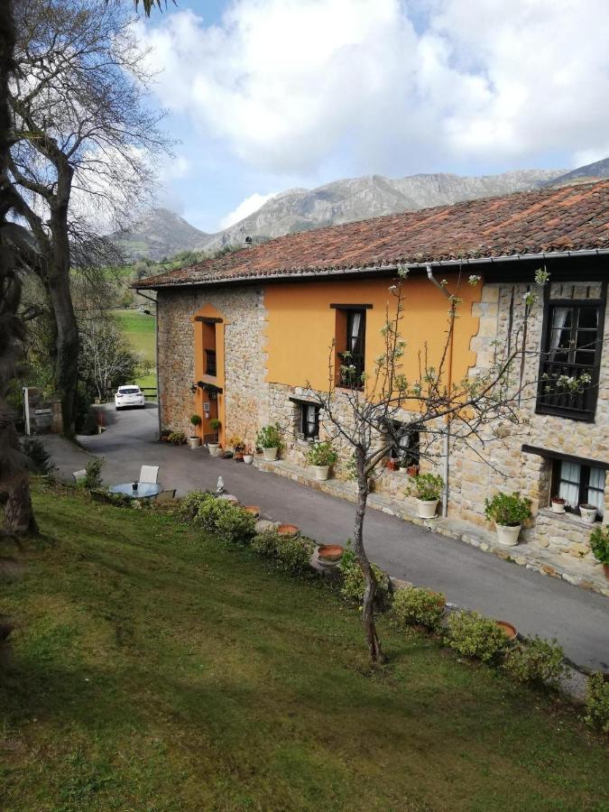 La Casa Nueva Alojamiento Rural Cereceda  外观 照片