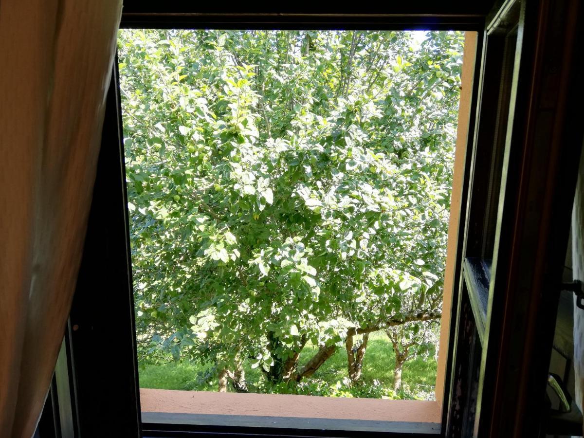 La Casa Nueva Alojamiento Rural Cereceda  外观 照片