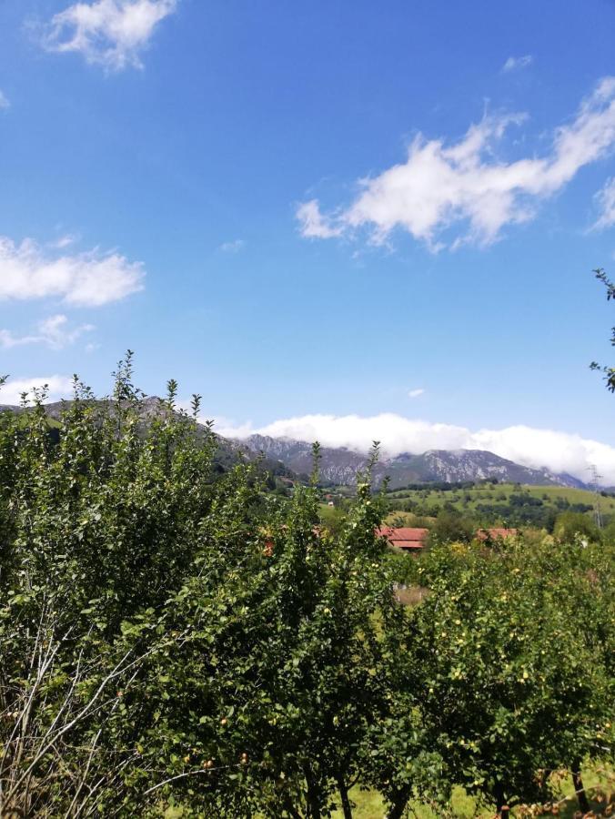 La Casa Nueva Alojamiento Rural Cereceda  外观 照片